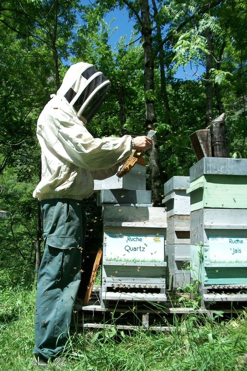 La ruche Quartz