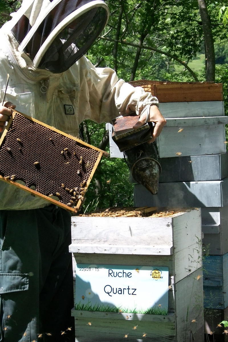 La ruche Quartz