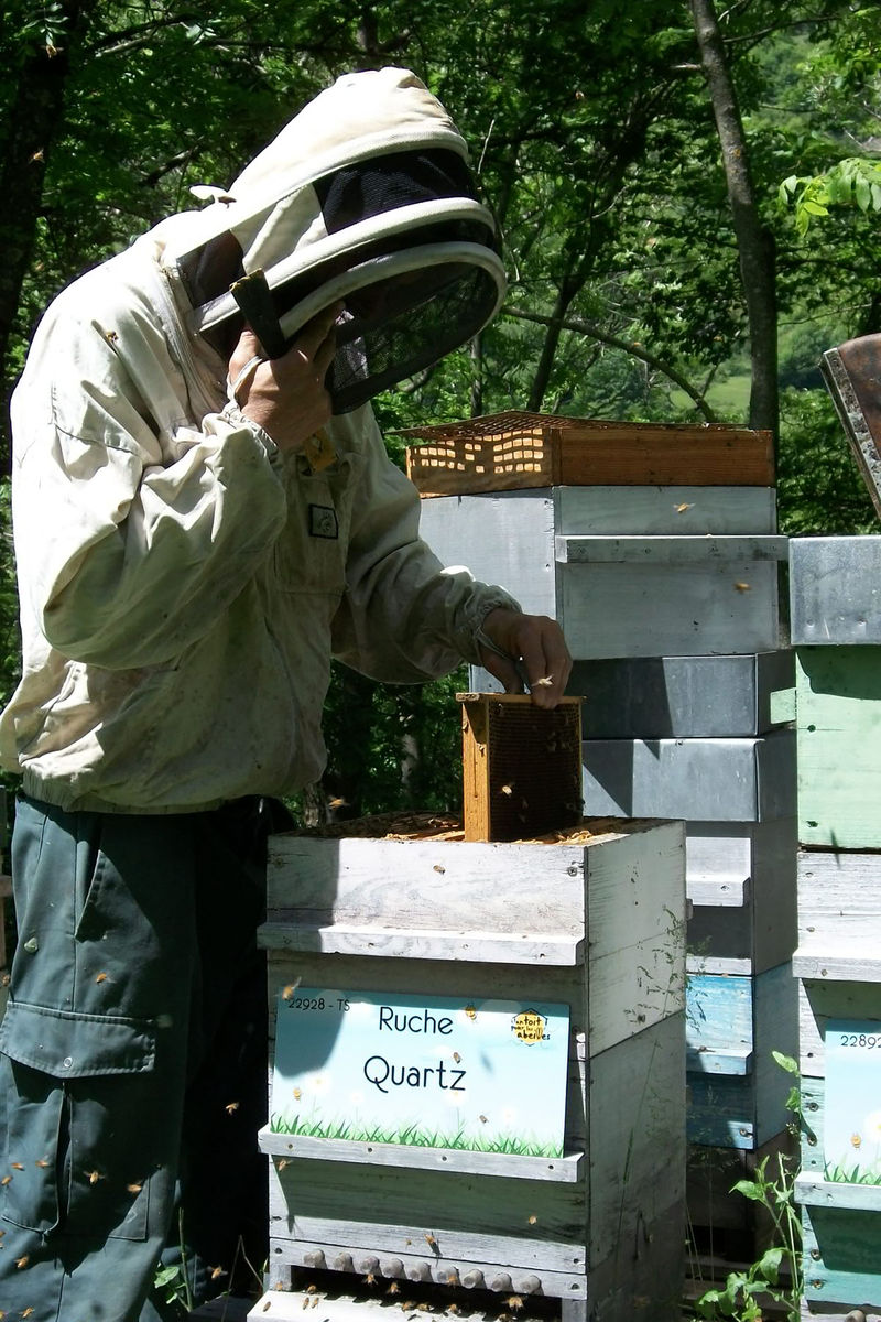 La ruche Quartz