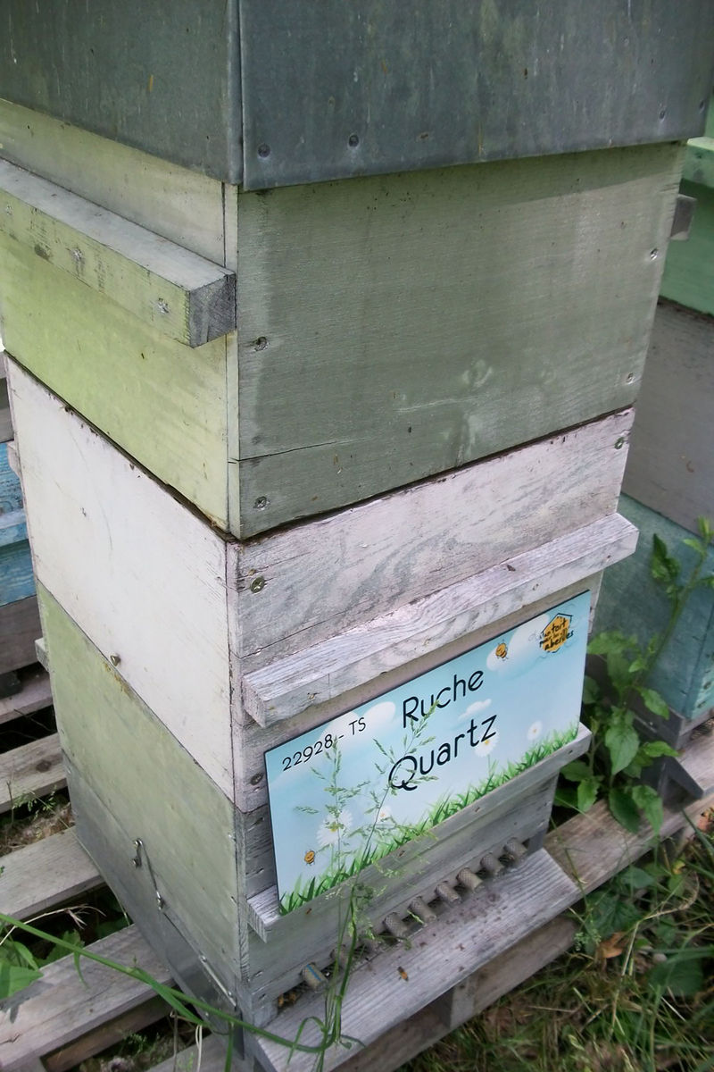 La ruche Quartz