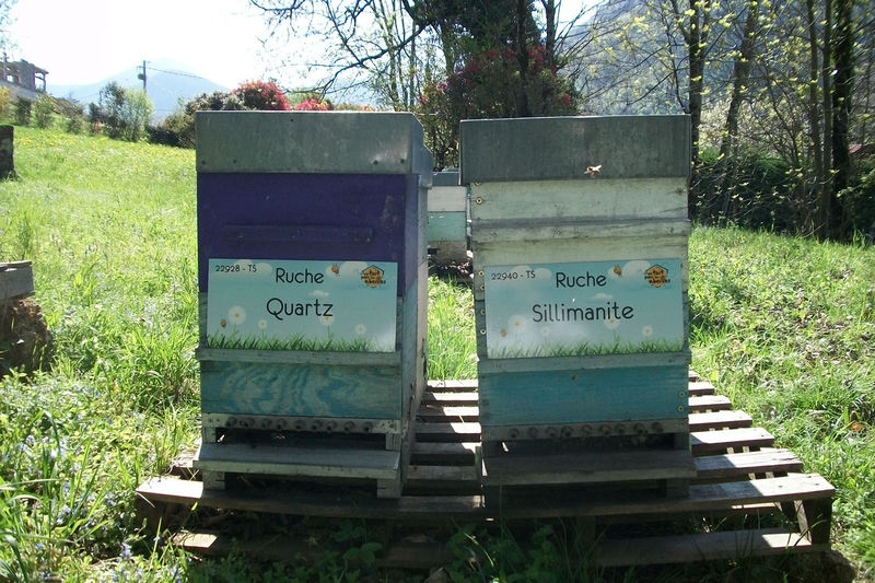 La ruche Quartz