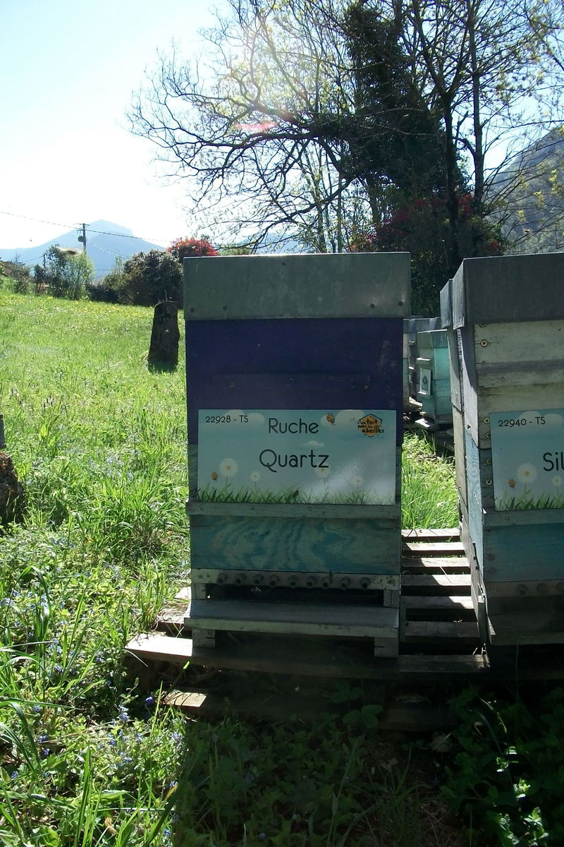 La ruche Quartz
