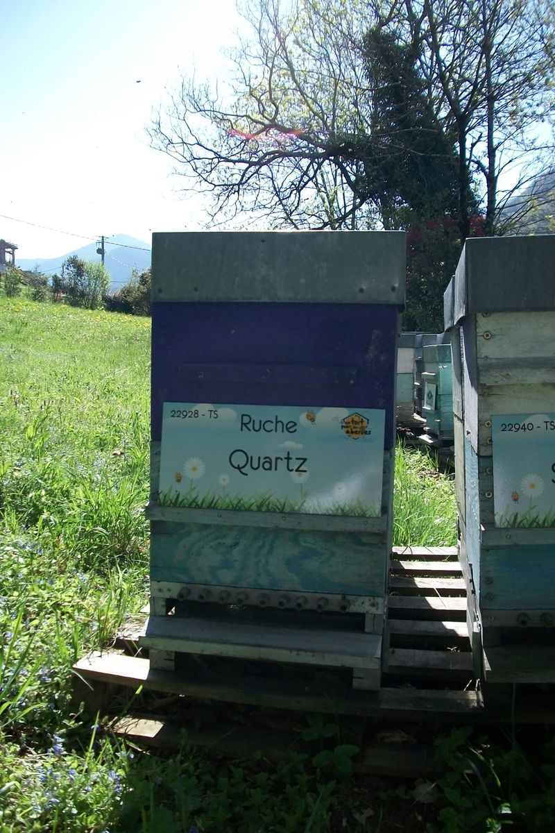 La ruche Quartz