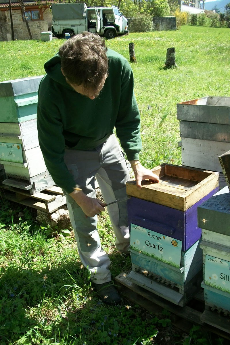 La ruche Quartz