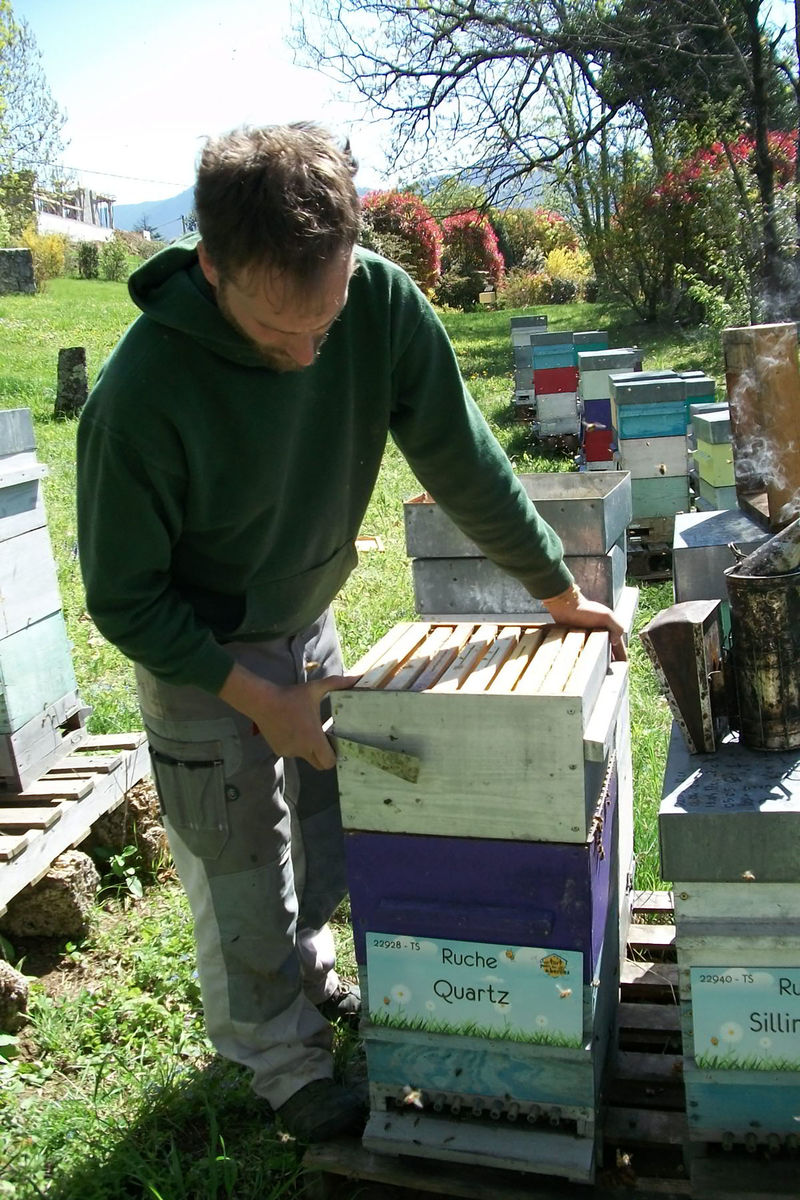 La ruche Quartz