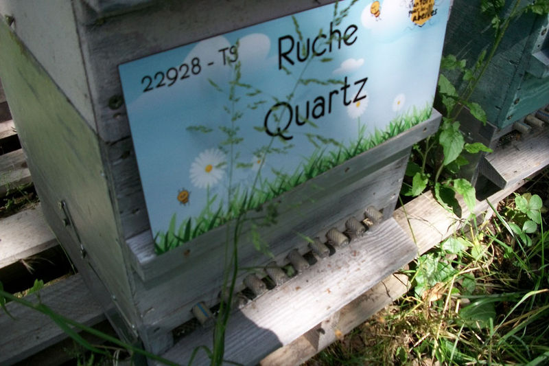La ruche Quartz