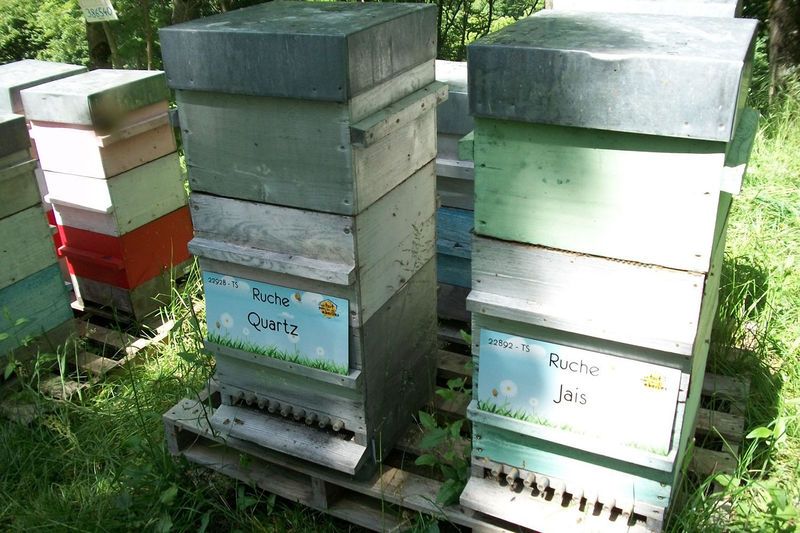 La ruche Quartz