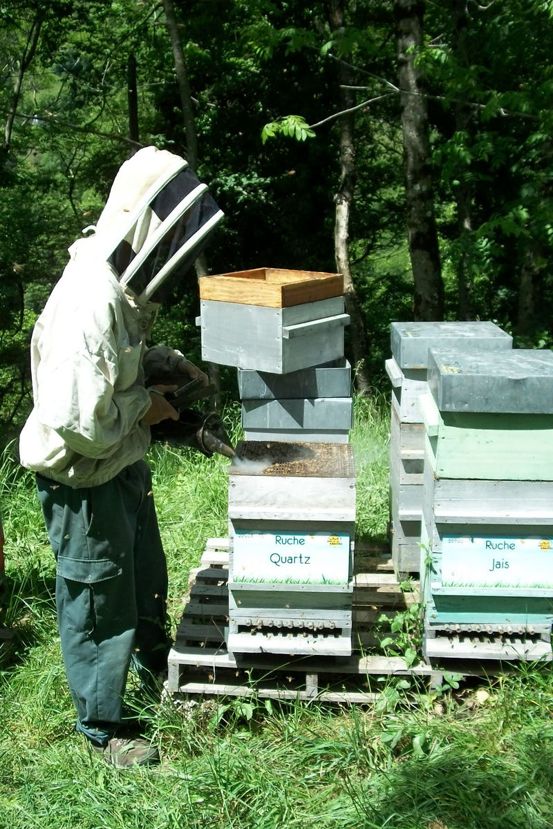 La ruche Quartz