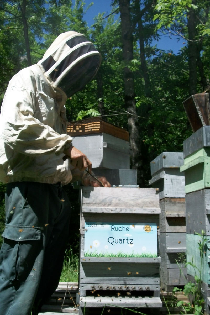 La ruche Quartz