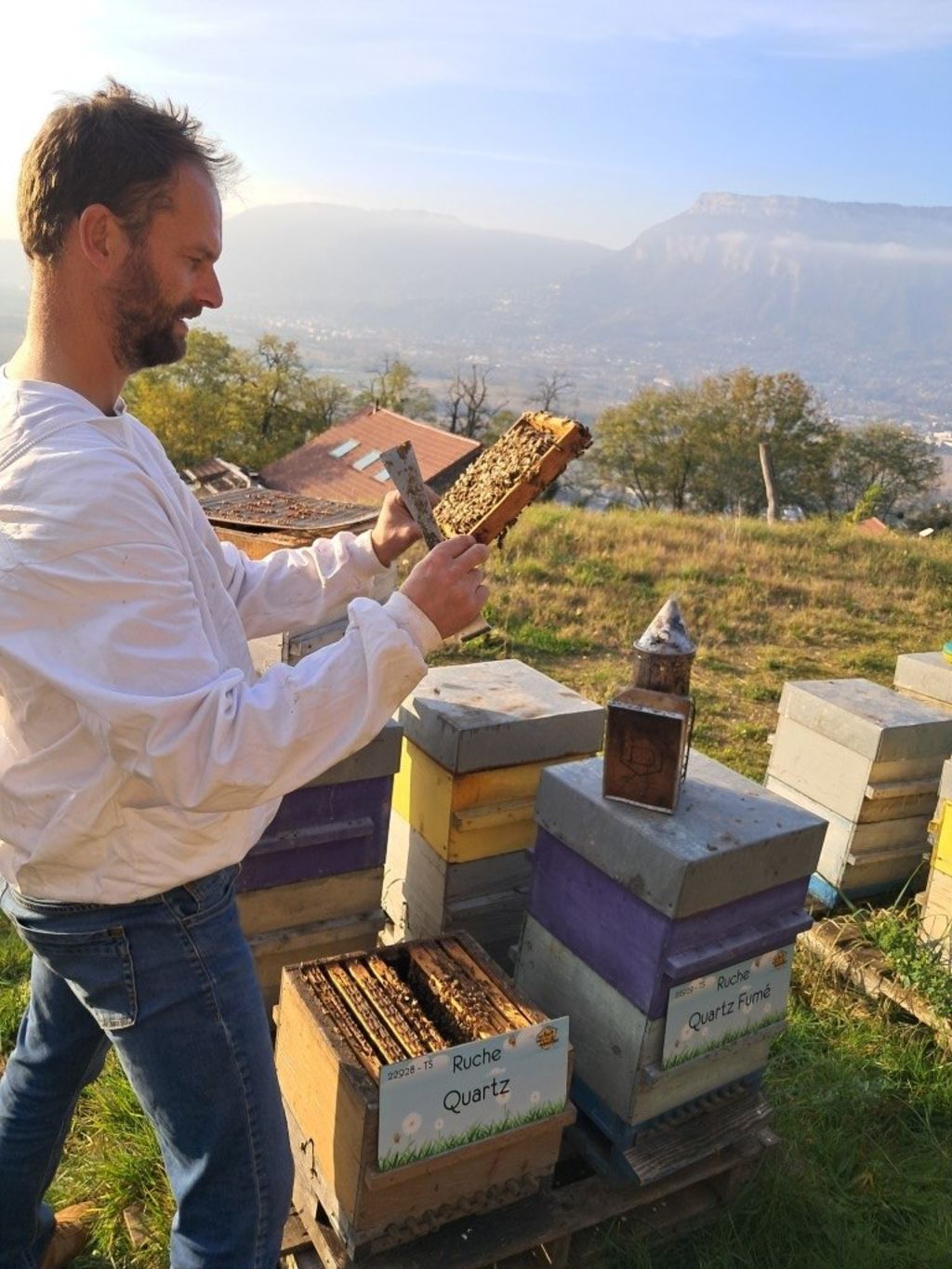 La ruche Quartz
