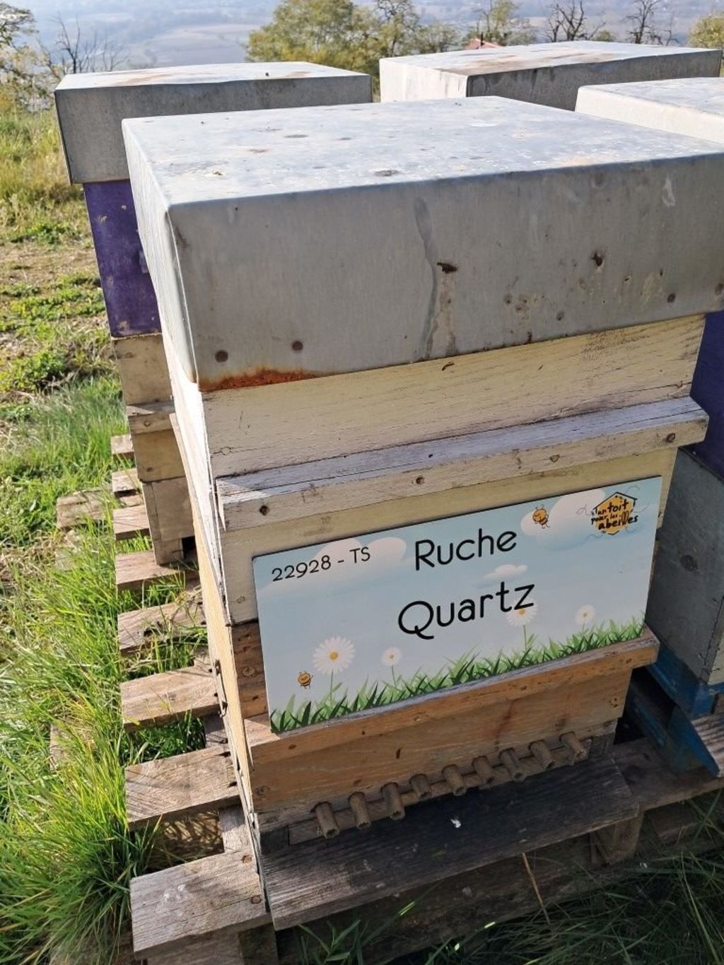 La ruche Quartz