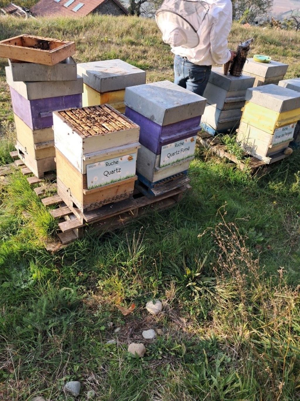 La ruche Quartz