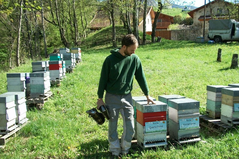 La ruche Quartz Fumé