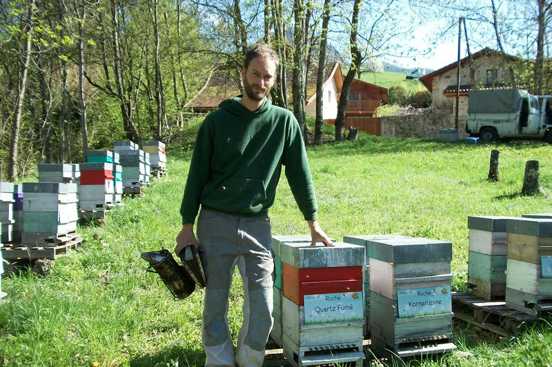 La ruche Quartz Fumé