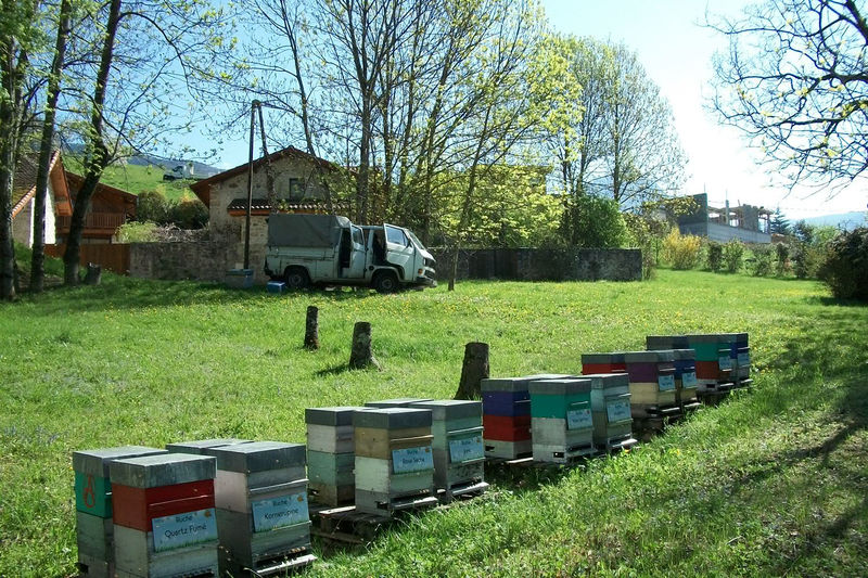 La ruche Quartz Fumé