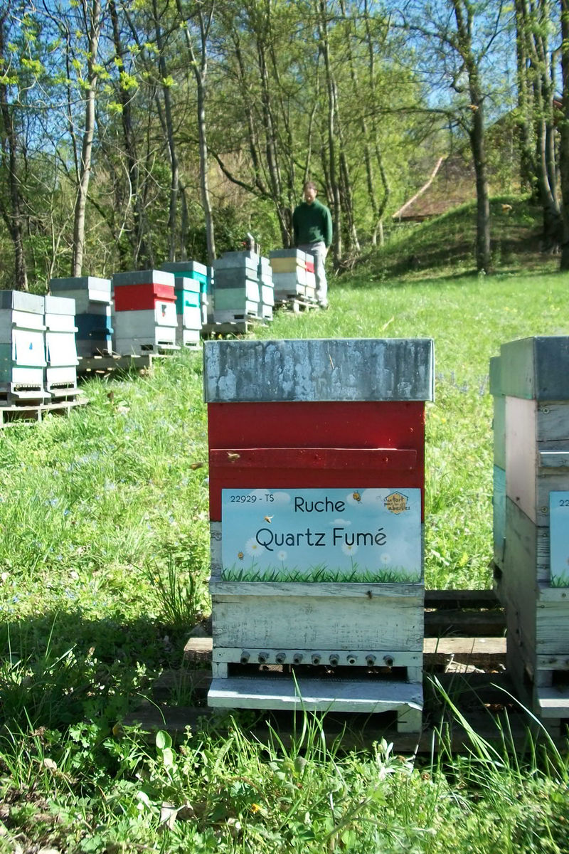 La ruche Quartz Fumé