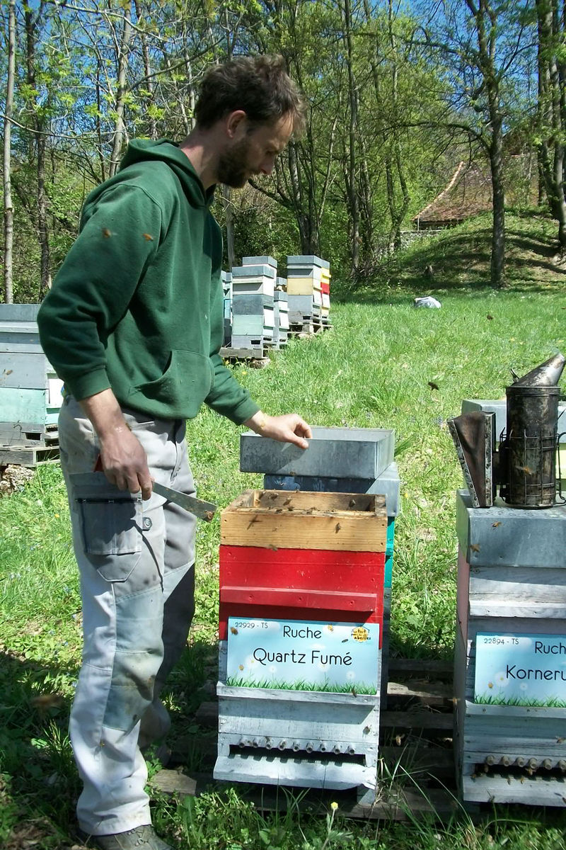 La ruche Quartz Fumé