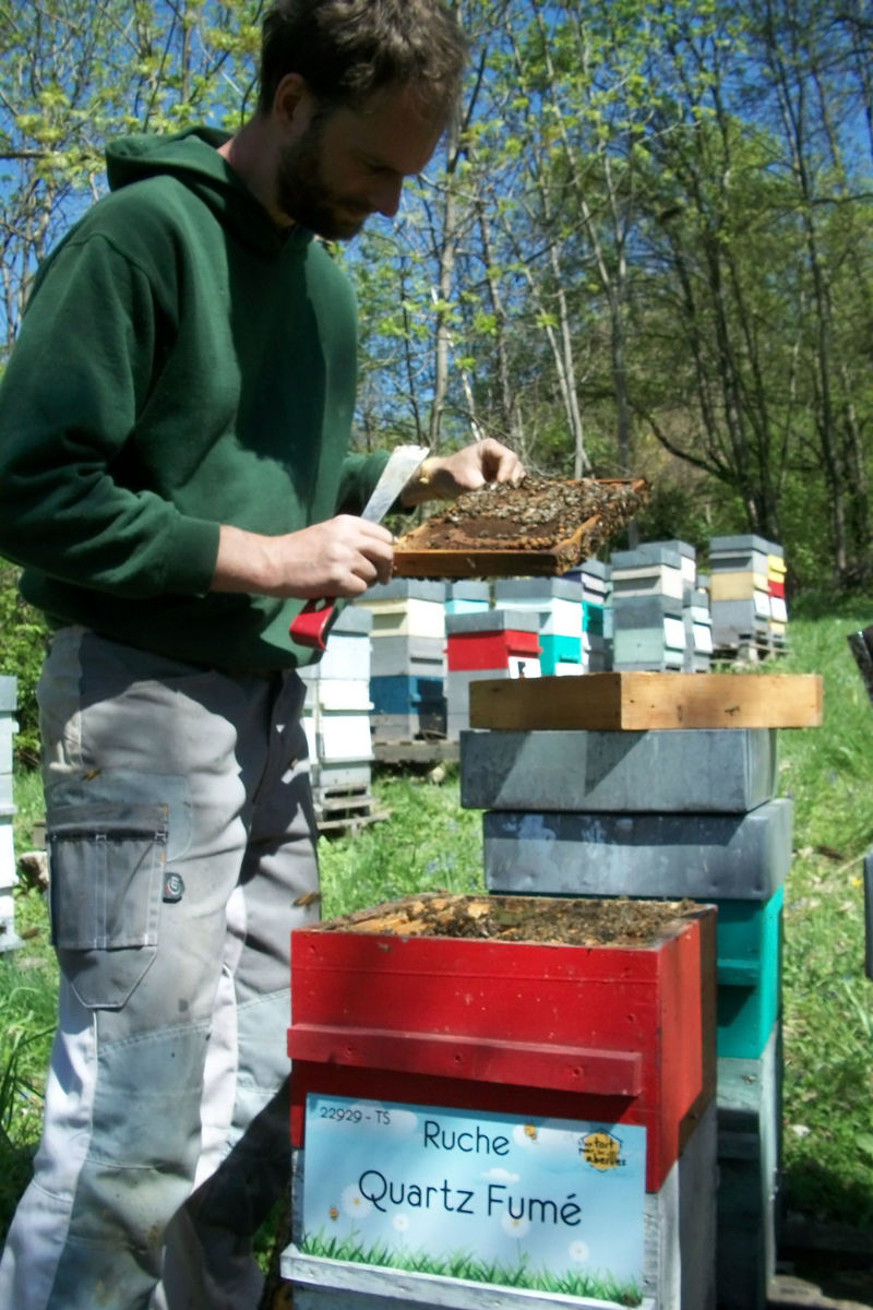 La ruche Quartz Fumé