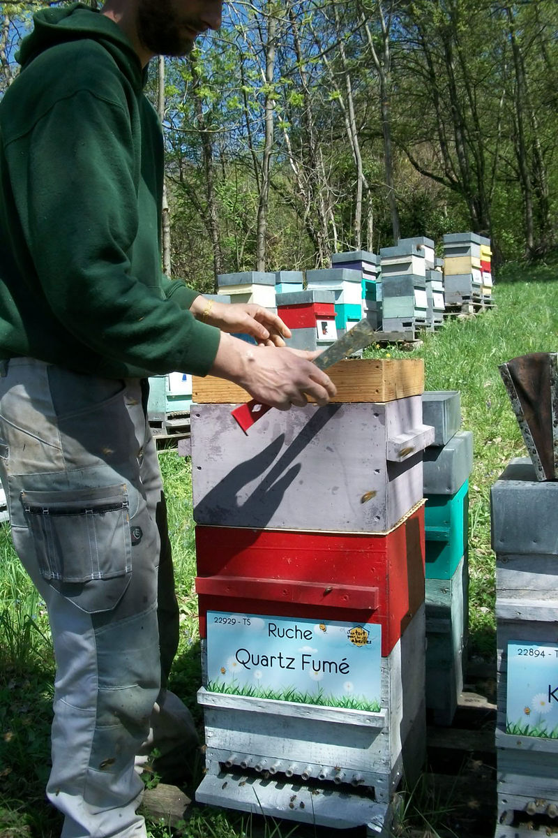 La ruche Quartz Fumé