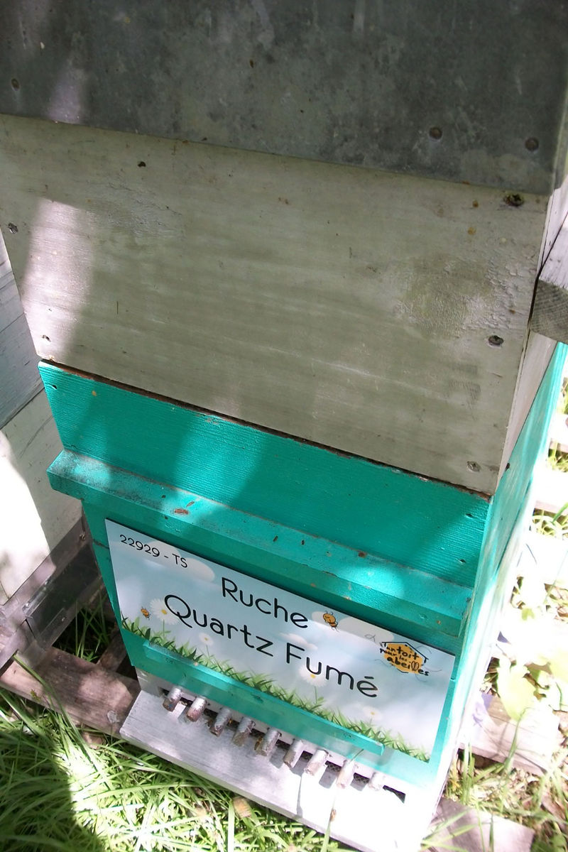 La ruche Quartz Fumé