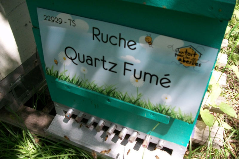La ruche Quartz Fumé