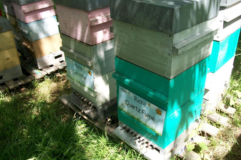 La ruche Quartz Fumé