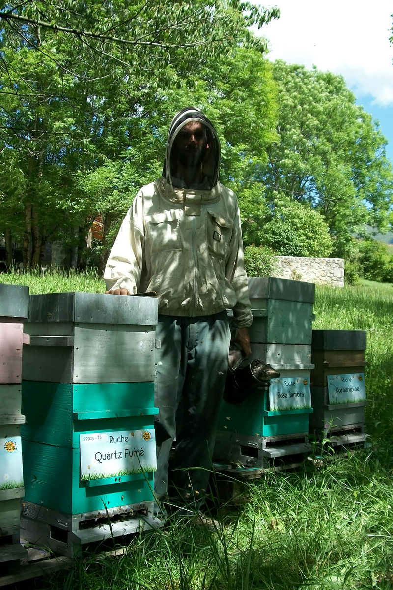 La ruche Quartz Fumé