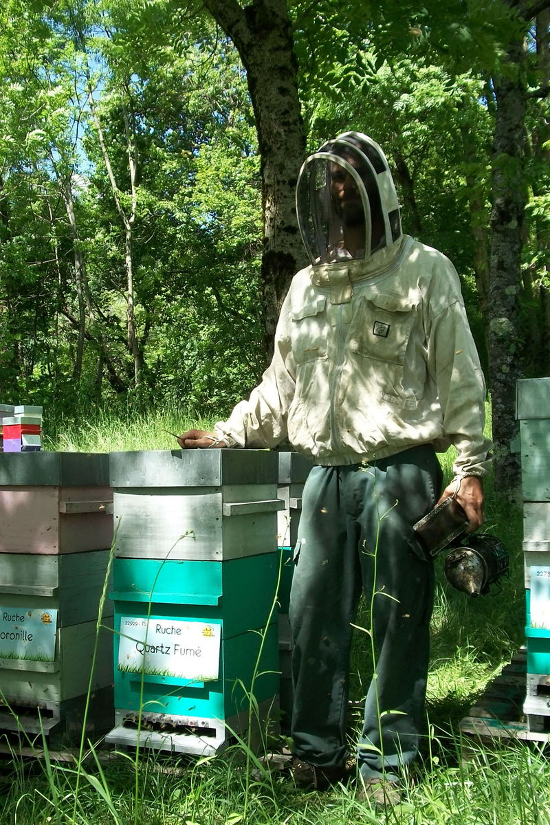 La ruche Quartz Fumé