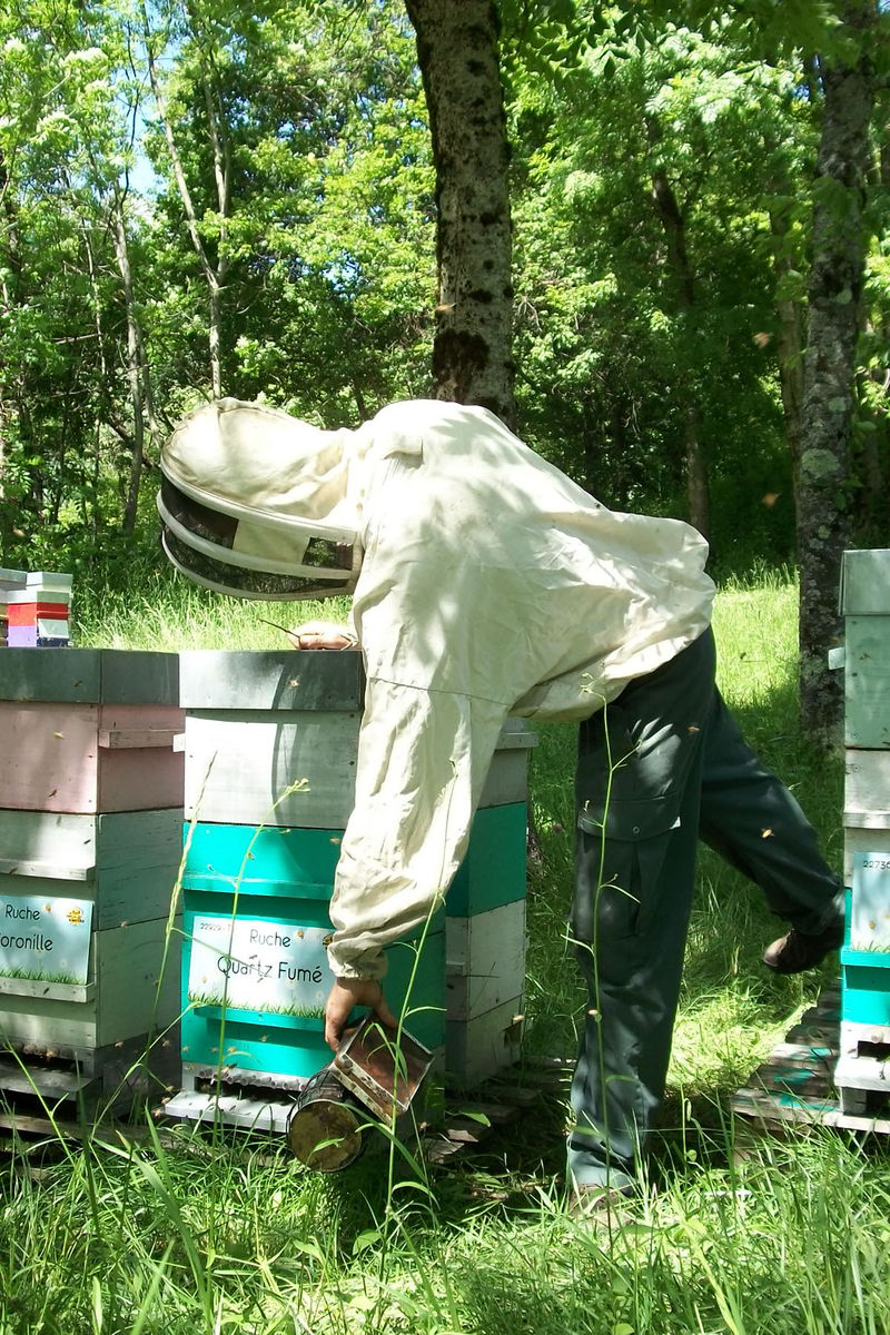 La ruche Quartz Fumé