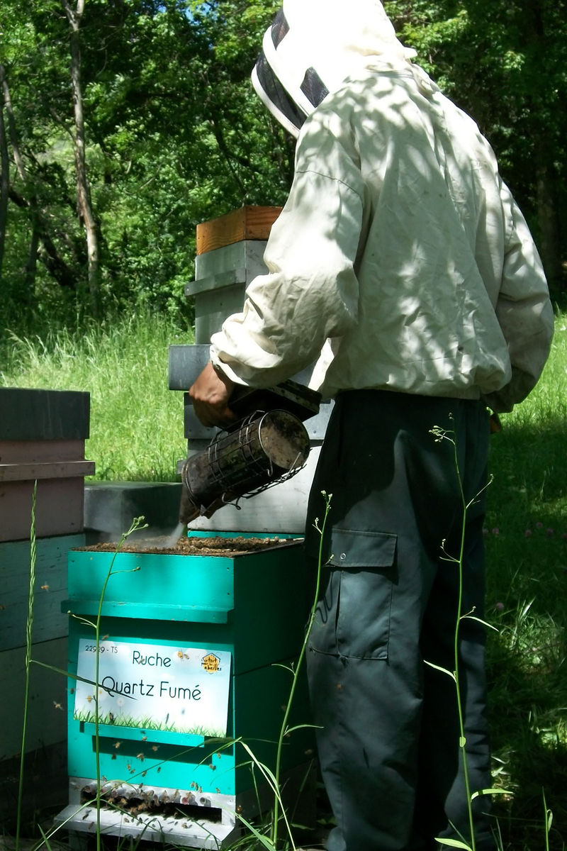 La ruche Quartz Fumé