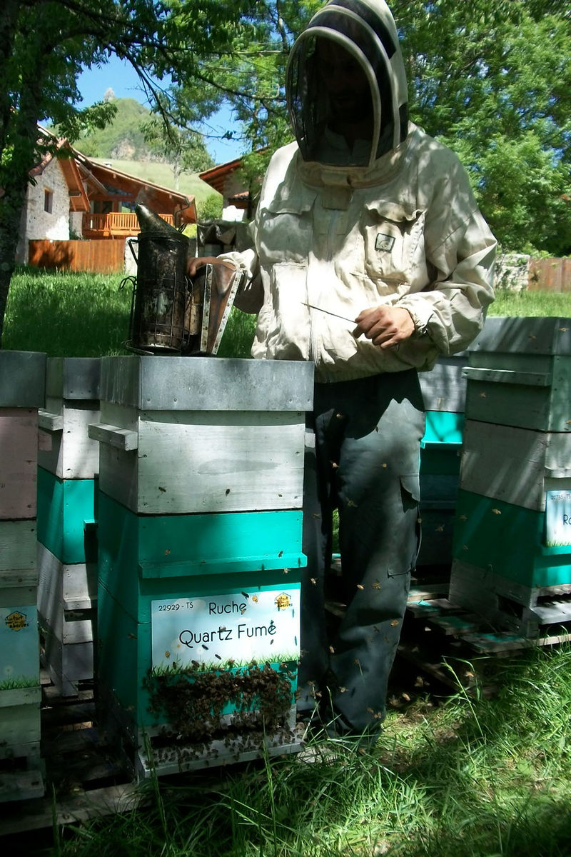 La ruche Quartz Fumé