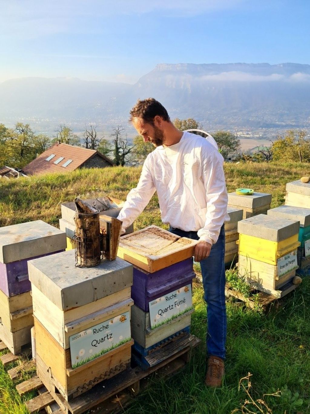 La ruche Quartz Fumé
