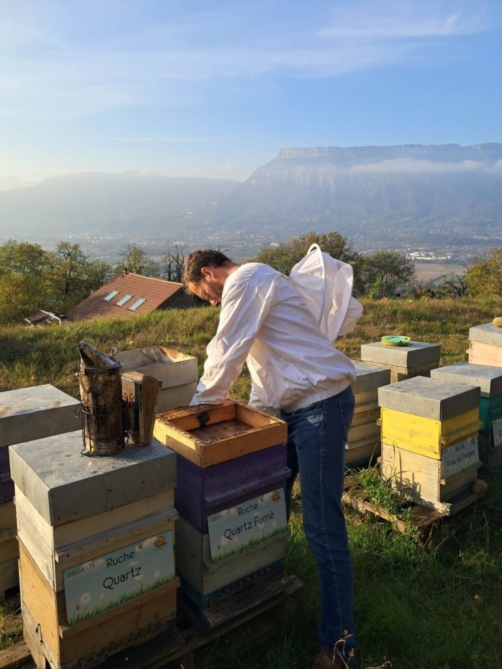 La ruche Quartz Fumé