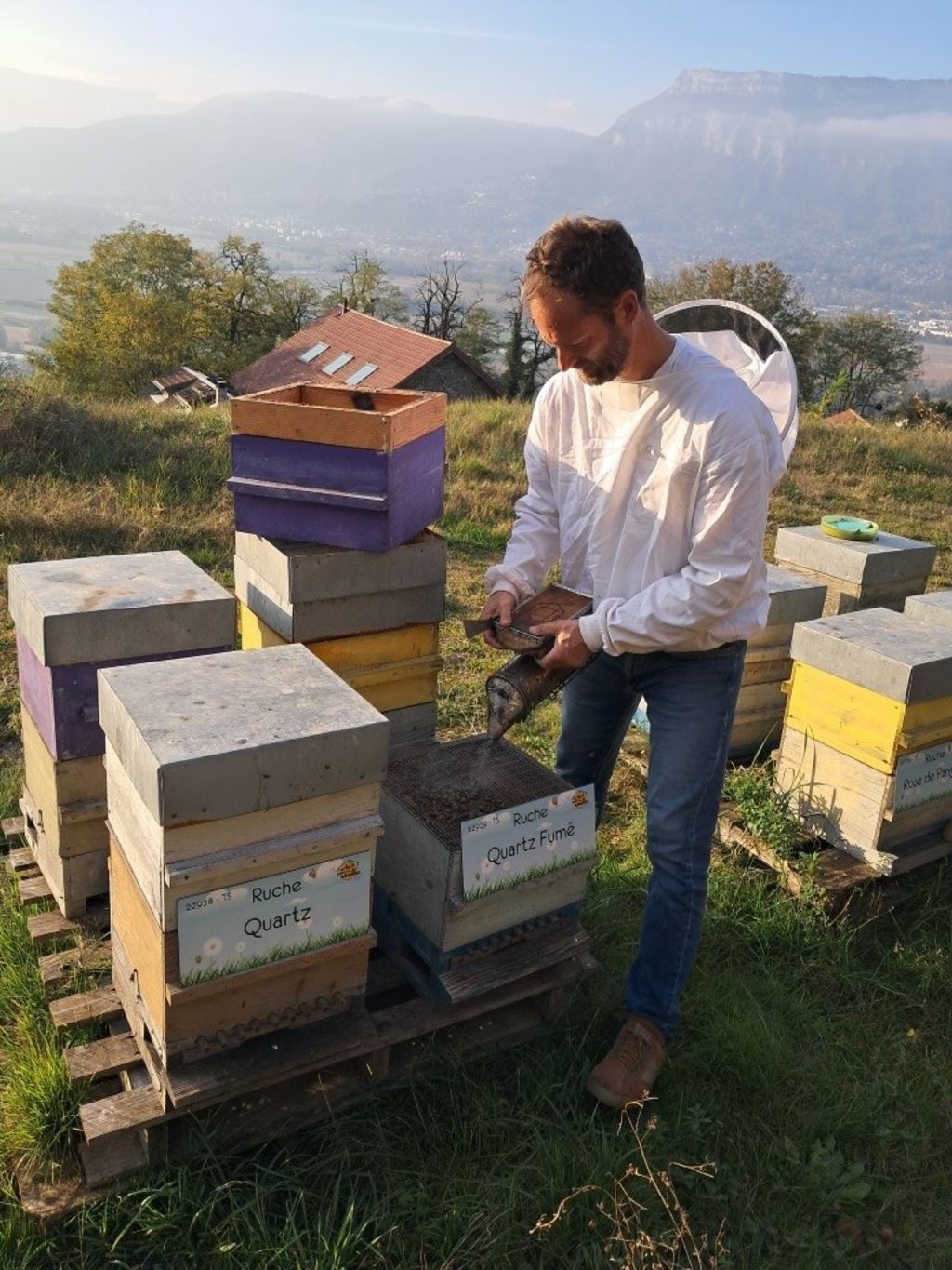 La ruche Quartz Fumé