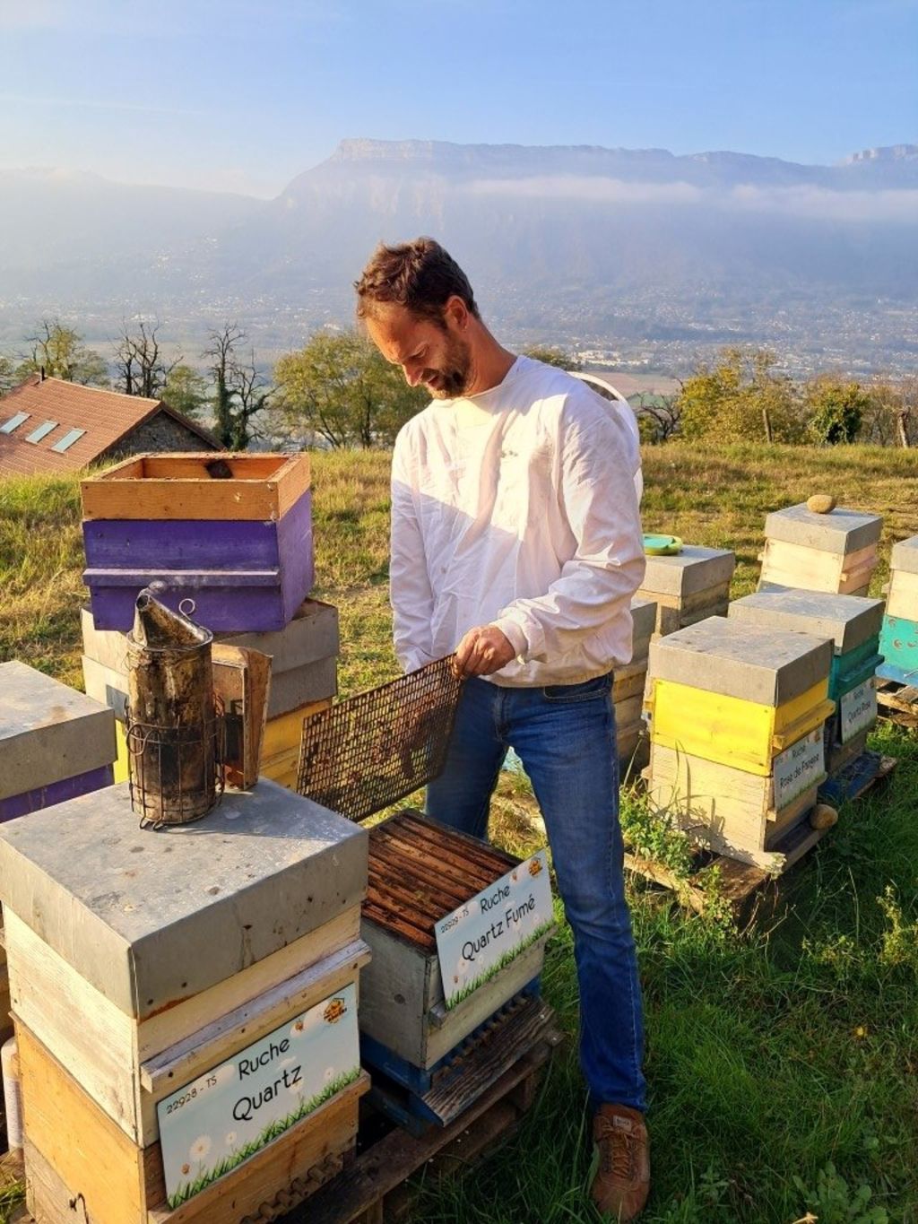 La ruche Quartz Fumé