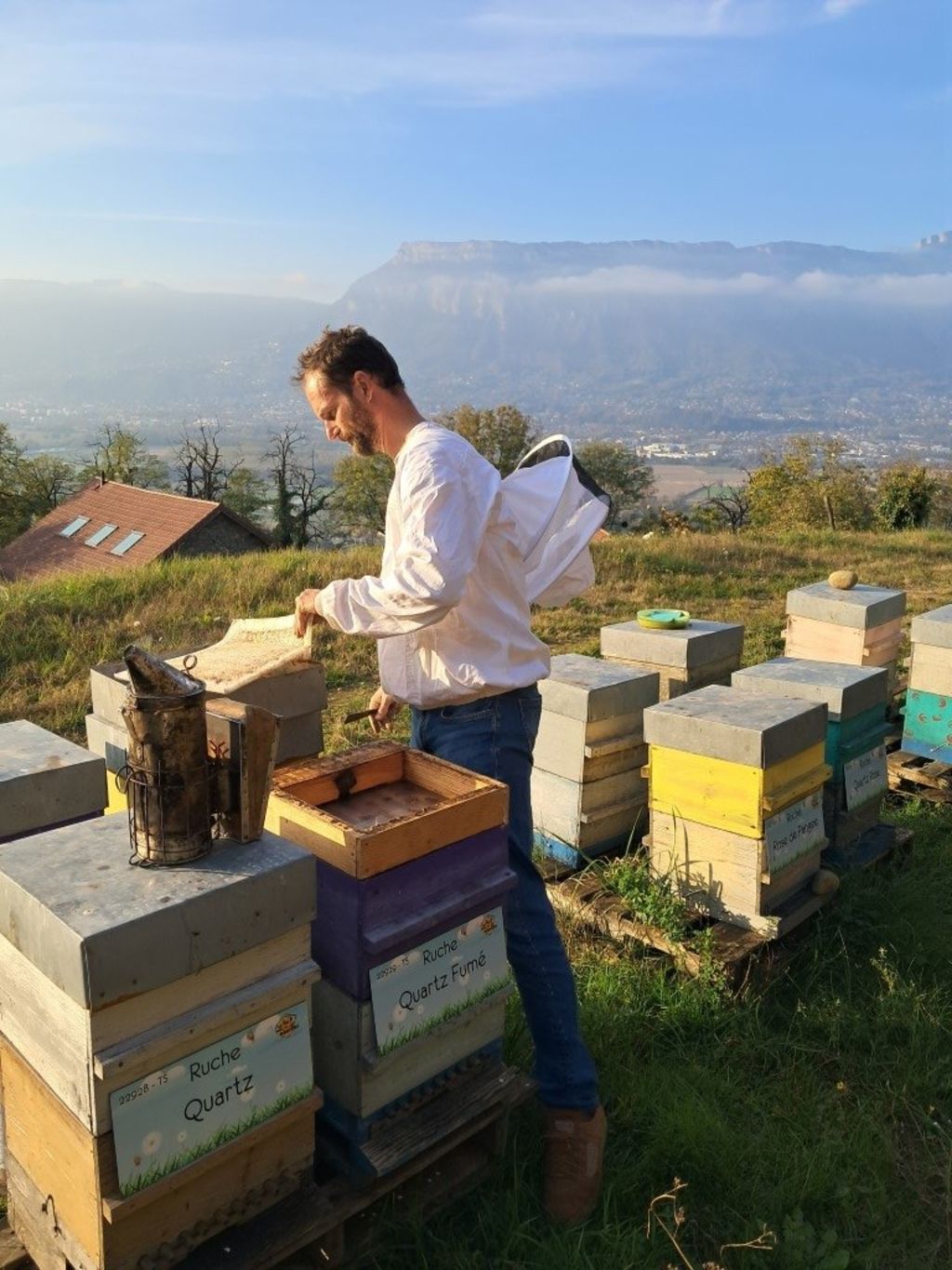 La ruche Quartz Fumé