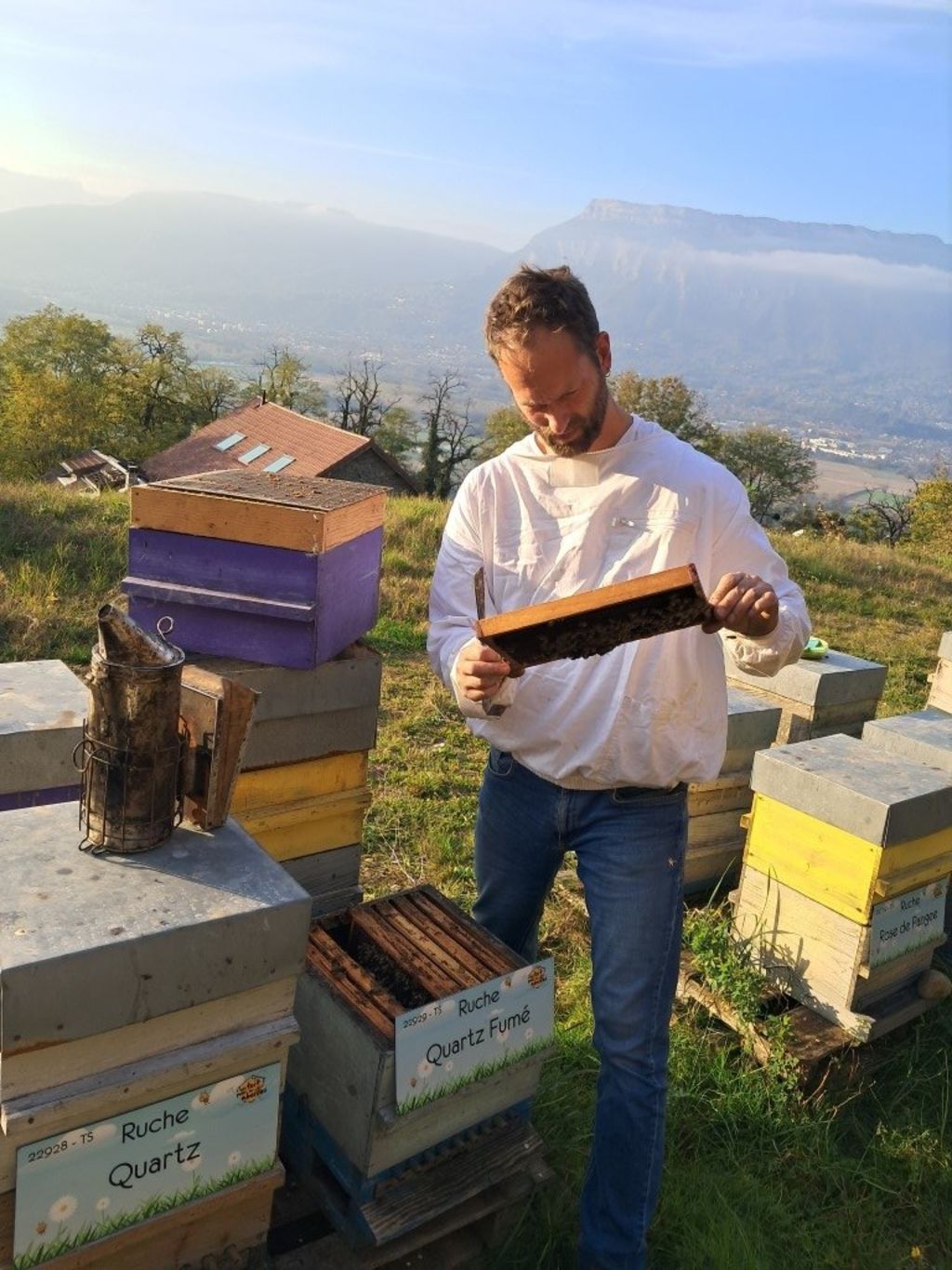 La ruche Quartz Fumé