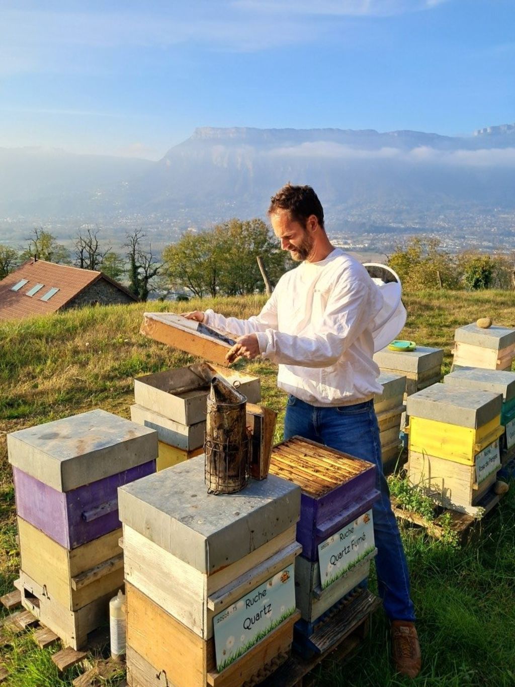 La ruche Quartz Fumé