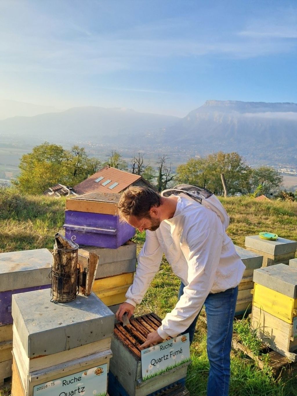 La ruche Quartz Fumé