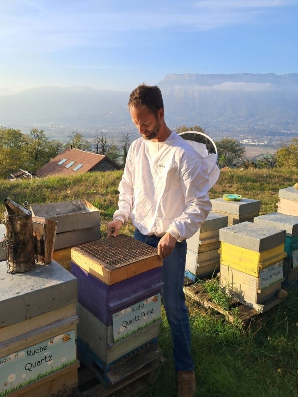 La ruche Quartz Fumé