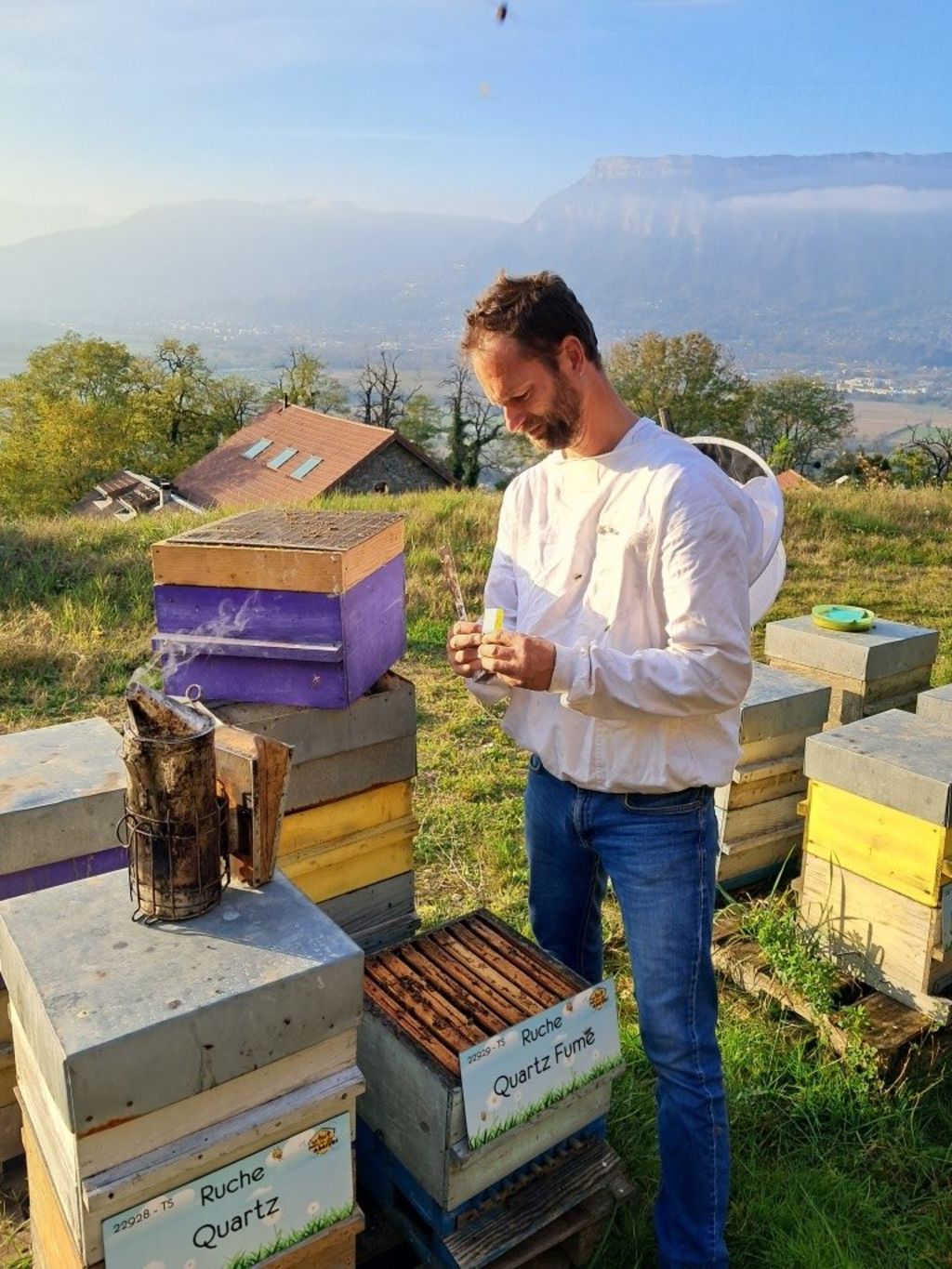 La ruche Quartz Fumé