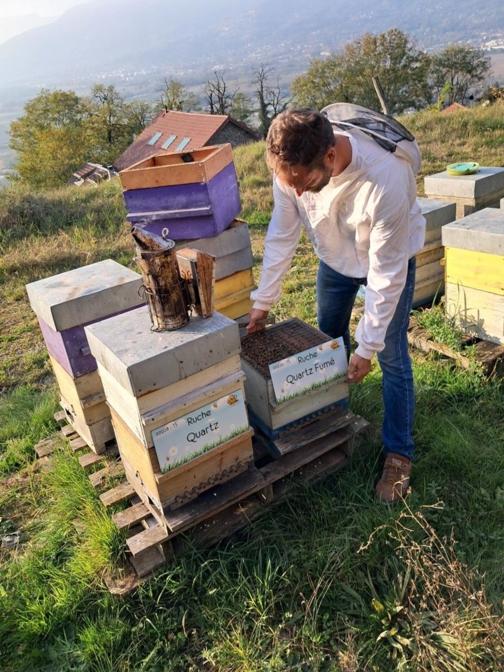 La ruche Quartz Fumé