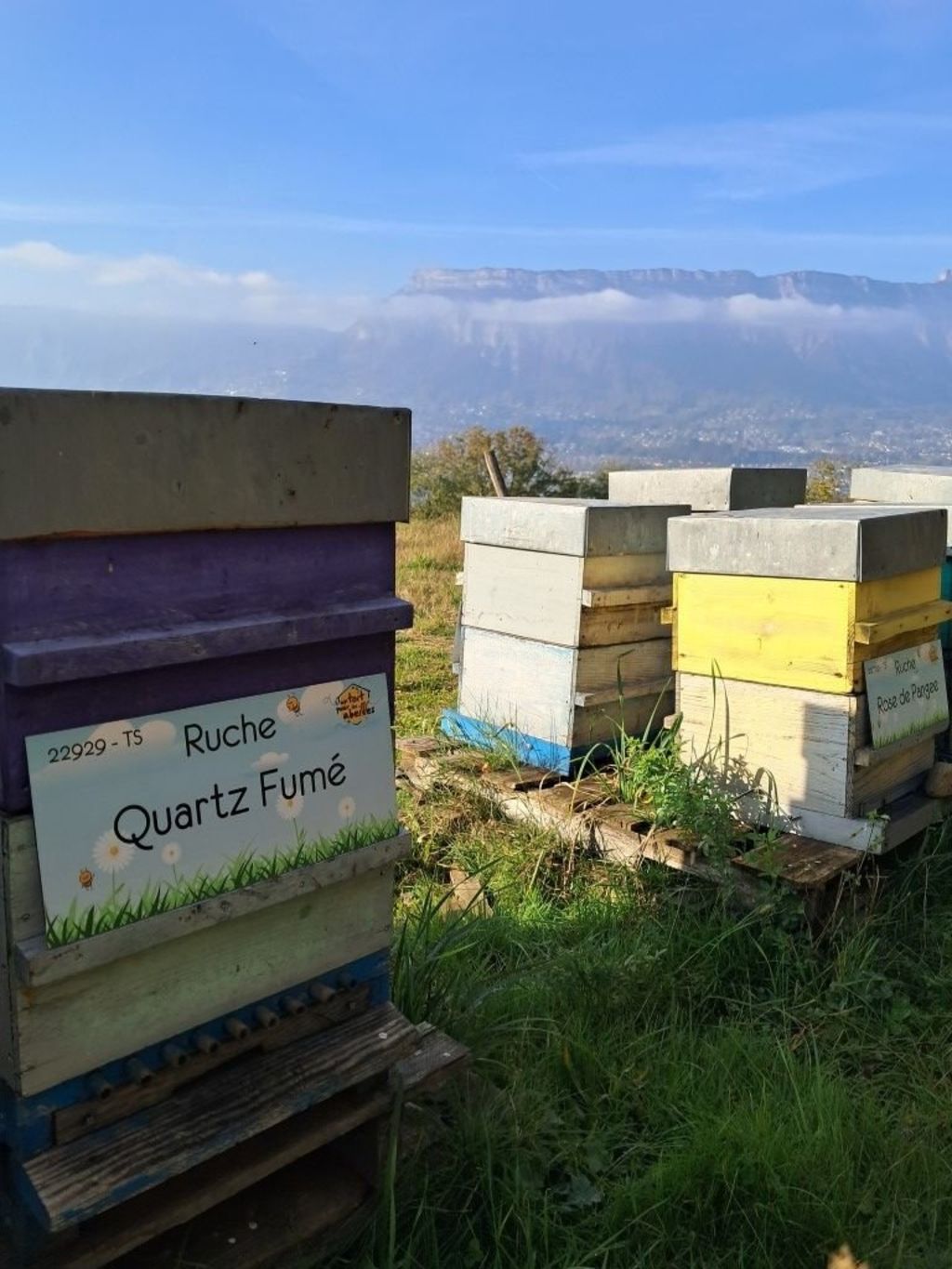 La ruche Quartz Fumé