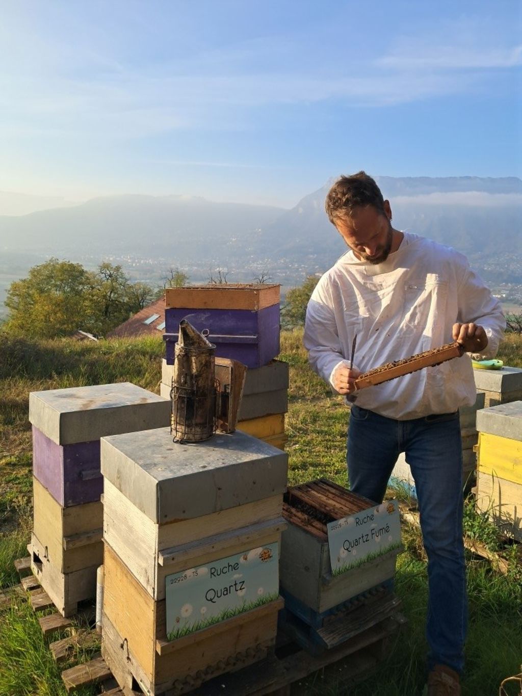 La ruche Quartz Fumé