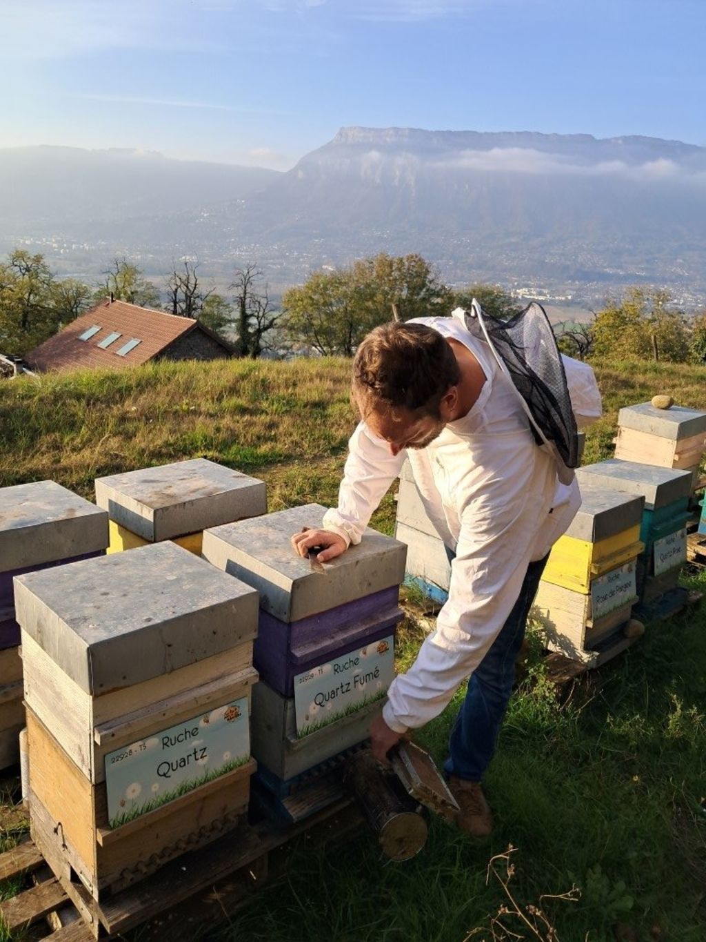 La ruche Quartz Fumé