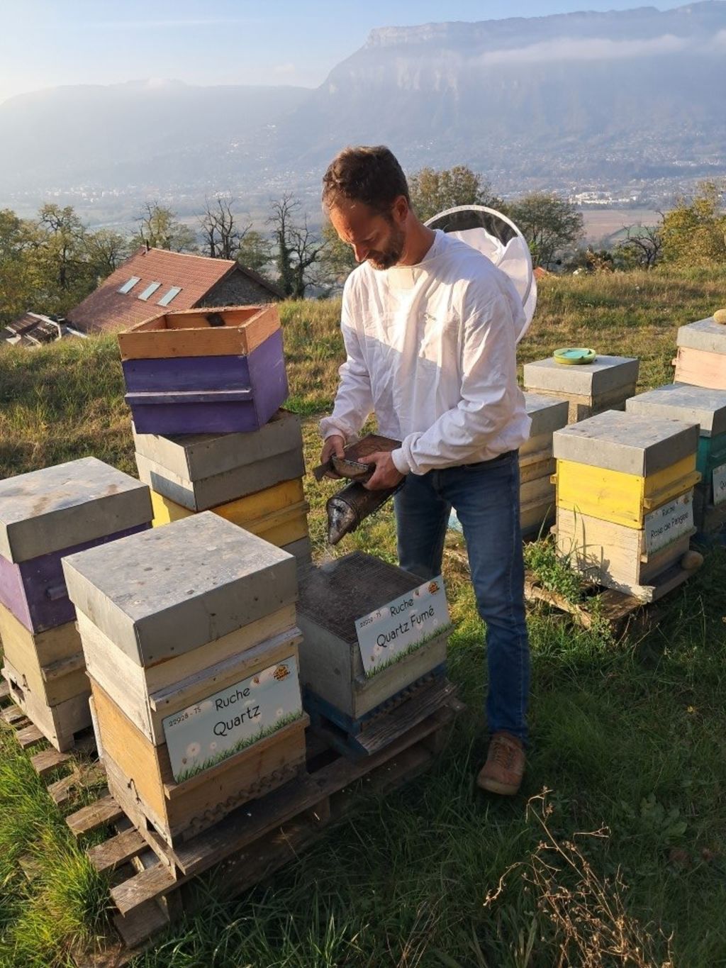 La ruche Quartz Fumé