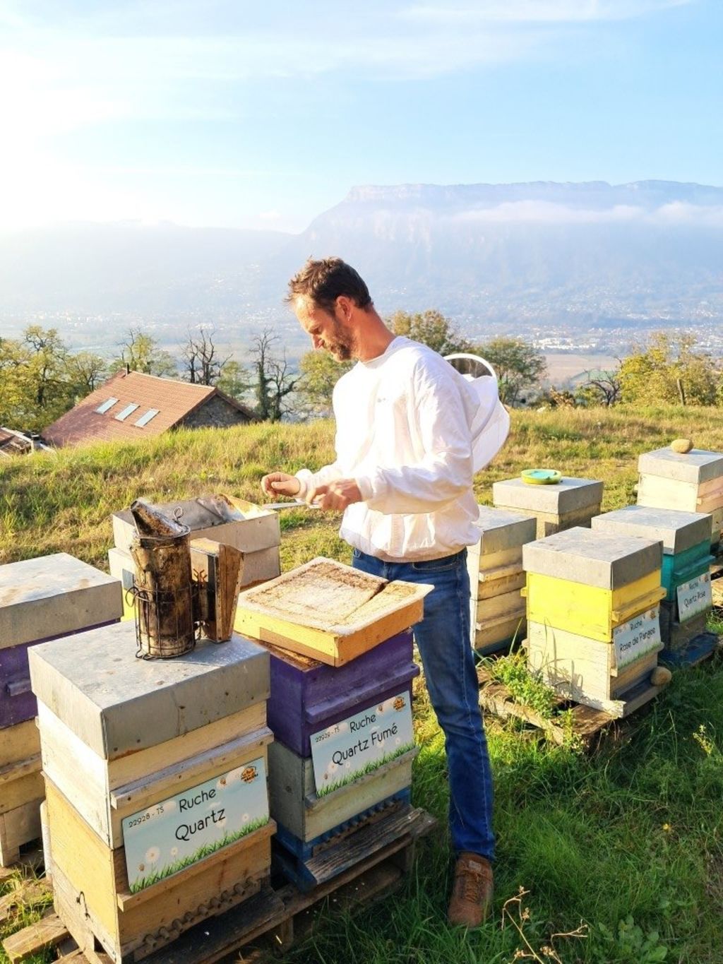 La ruche Quartz Fumé
