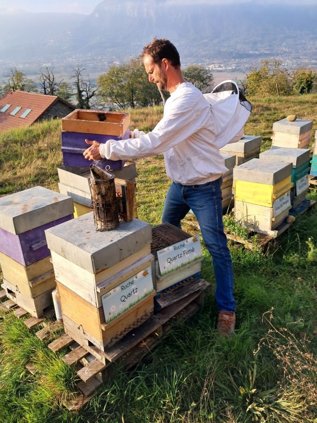 La ruche Quartz Fumé