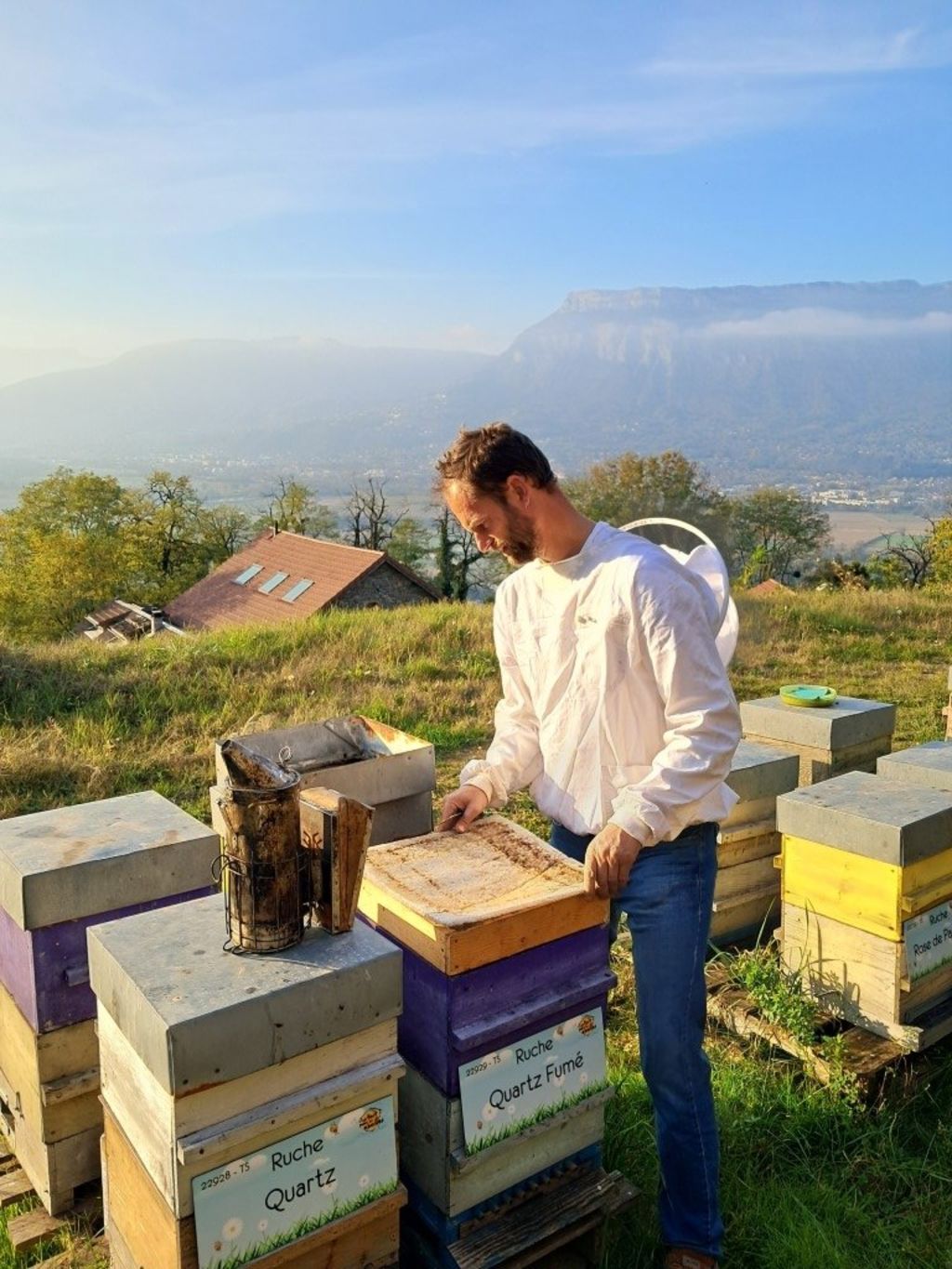 La ruche Quartz Fumé