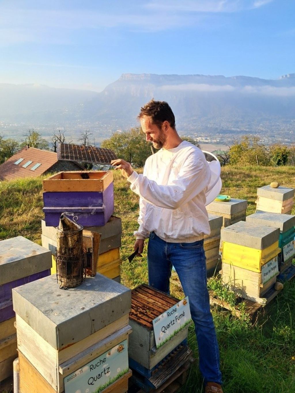 La ruche Quartz Fumé